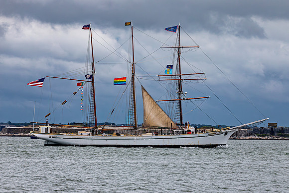 Gazela Tall Ship Sailing