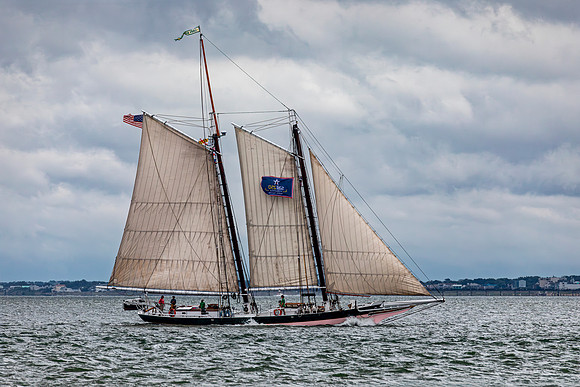 Lady Maryland