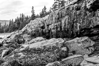 Rocky Coastline with Pine Trees and Tidal Breakwater