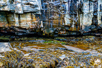 Coastal Rock Formations and Seaweed