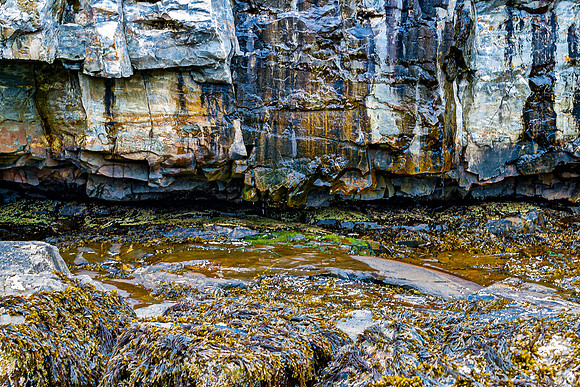 Coastal Rock Formations and Seaweed
