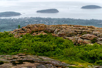 Bar Harbor from Cadillac Mountain