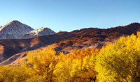Autumn Mountains and Fall Foliage in Big Pine