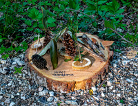 Fairyland Exhibit on Tree Stump
