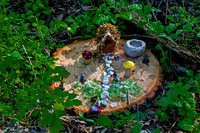 Fairyland Exhibit on Tree Stump