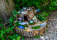 Enchanting Fairyland Exhibit on Tree Stump