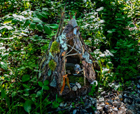 Miniature Gnome Home in Forest