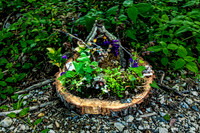 Fairyland Exhibit on Tree Stump