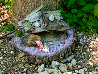 Fairyland Exhibit Miniature Garden