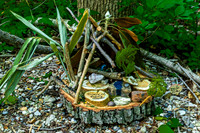 Fairyland Exhibit in Woodland