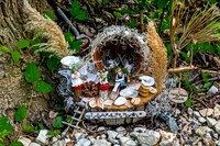 Whimsical Fairyland Exhibit Display