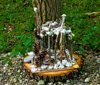 Fairyland Exhibit Found in Woods