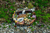 Fairyland Exhibit Miniature Garden
