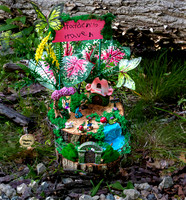 Fairyland Exhibit