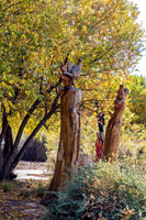 Wooden Bird Sculpture in Autumn Landscape