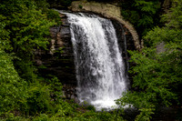Looking Glass Waterfall Cascading Through Lush Greenery