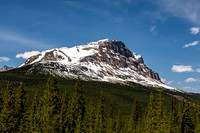 Snowy Mountain Peak and Evergreen Forest