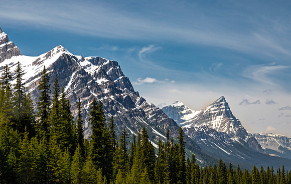 Snow-Capped Mountains and Evergreen Forest in Alberta