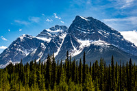 Majestic Snow-Capped Mountains and Evergreen Forest