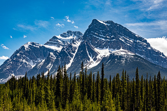 Majestic Snow-Capped Mountains and Evergreen Forest