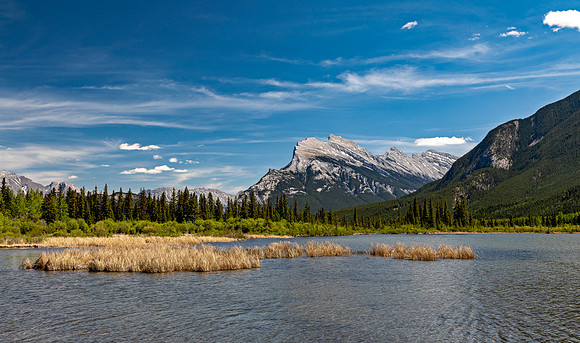 Bow River Landscape in Alberta, Canada