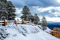 Winter Walkway