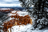 Winter Wonderland at Bryce Point