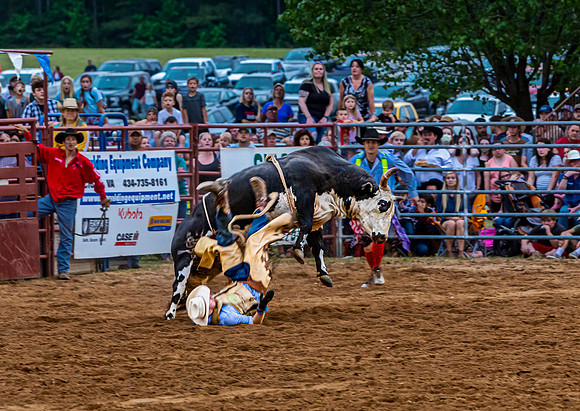 Cowboy Falls Off Bull During Rodeo