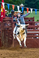 Bull Rider in Rodeo Competition