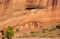 Ancient Cliff Dwellings in a Desert Landscape