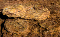 Textured Sandstone Rock Formations