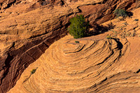 Abstract Patterns of Ancient Rock Formations