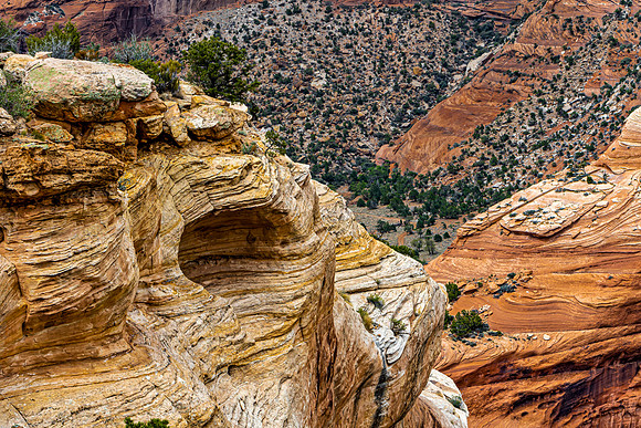 Desert Landscape with Layered Sandstone Formations and Green Veg