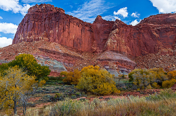 Red Rock Cliffs and Autumn Foliage Landscape