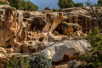 Rock Cobra