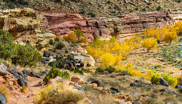 Hickman Bridge Trailhead