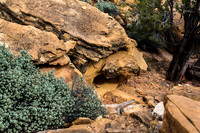 Desert Rocks and Cave