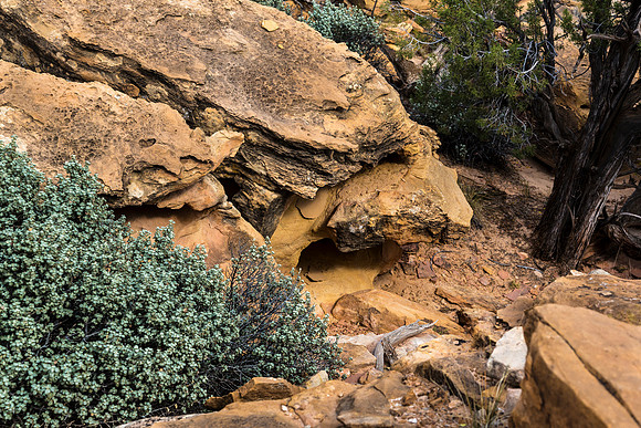Desert Rocks and Cave