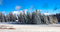 Snowy Evergreen Forest Landscape