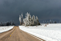 Cedar Breaks NM