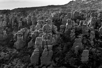 Towering Rock Formations in a Monochromatic Landscape