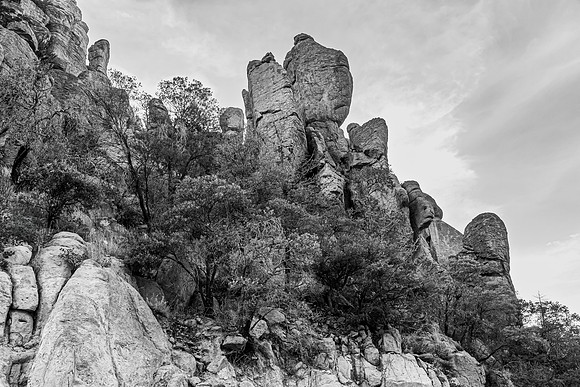Rugged Mountain Landscape with Rock Formations and Trees