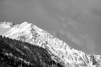 Snow-capped Mountain Peak and Evergreen Trees