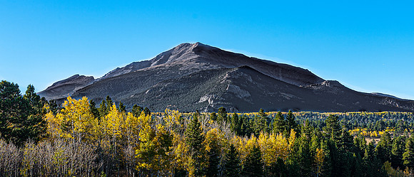 Autumn Mountain Landscape with Aspen and Pine Trees
