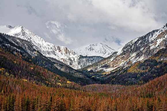 Mountain Range with Snow-Capped Peaks and Autumn Forest