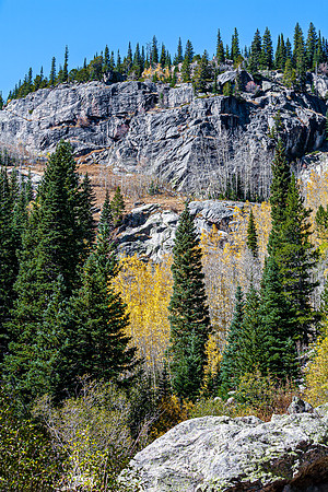 Autumn forest on a rocky mountainside