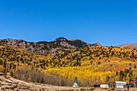 Autumn Aspens on Mountain Slope