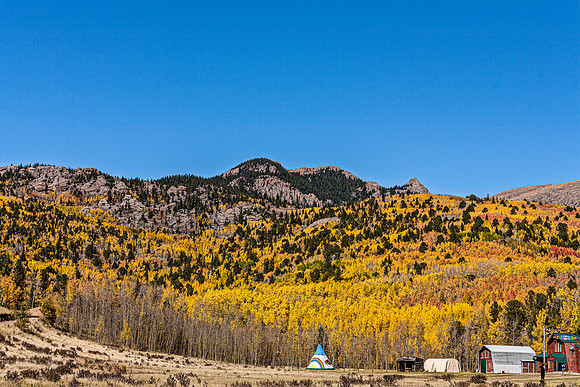 Autumn Aspens on Mountain Slope
