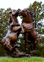 Bronze Statue of Fighting Horses