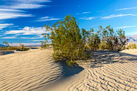 Mesquite Flat Dunes in Death Valley National Park